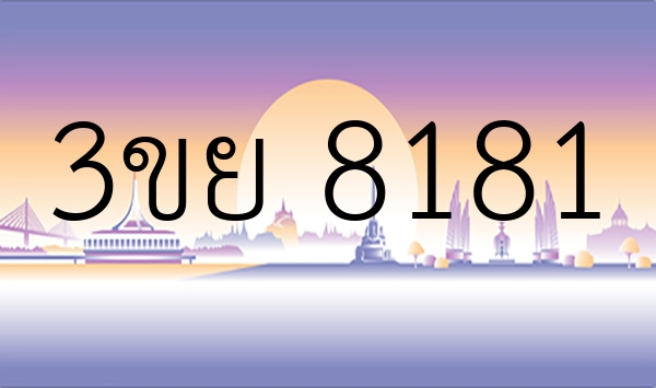 3ขย 8181
